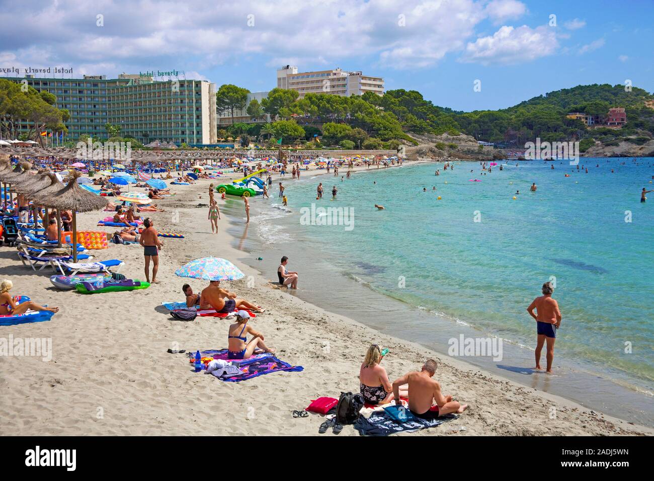Baden Strand in Paguera, Mallorca, Balearen, Spanien Stockfoto