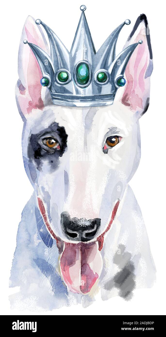 Aquarell Portrait von Bull Terrier mit silbernen Krone Stockfoto