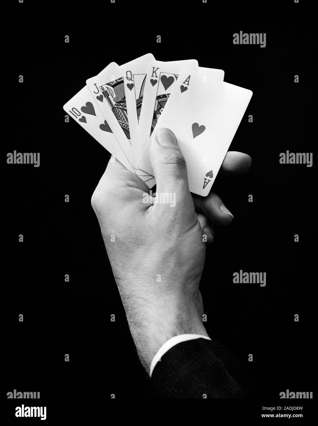 1930er Jahre DES MENSCHEN HAND MIT 5 KARTEN POKER HAND, DIE IST EIN ROYAL STRAIGHT FLUSH IM HERZEN - s8455 HAR 001 HARS ERHOLUNG FLUSH ROYAL KONZEPTIONELLE STILL LIFE KARTENSPIEL glücksspiel wette DER HÖCHSTE MANN ROYAL FLUSH HAND gewinnt Wette wetten SCHWARZ UND WEISS KAUKASISCHEN ETHNIE CHANCE HÄNDE NUR HAR 001 ALTMODISCH Stockfoto