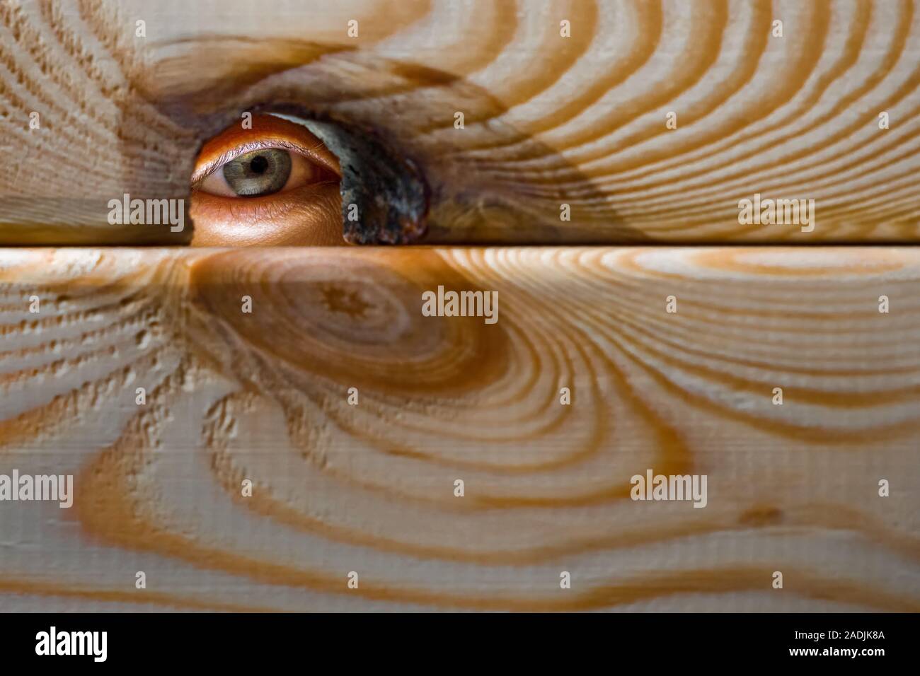 Des Menschen Auge in das Loch in der Holzwand. Spionage, folgenden, Beobachten guckte, spähen. Spionage Konzept. Stockfoto