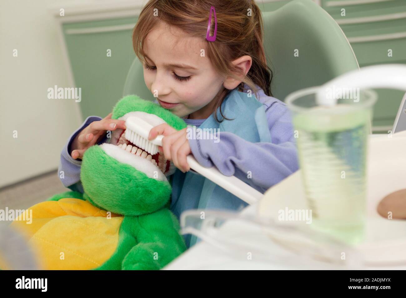 Riesen Zahnbürste. Mädchen üben ihr Bürsten Fähigkeiten auf ein weiches  Spielzeug. Ein riesiger zahnbürste wird verwendet, weil es die Bedeutung  der Bürsten illustriert und Stockfotografie - Alamy