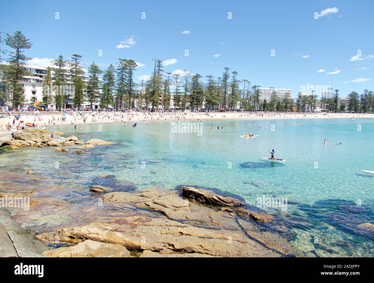 Shelly Beach und Manly Beach, Sydney, New South Wales, Australien, Ozeanien Stockfoto