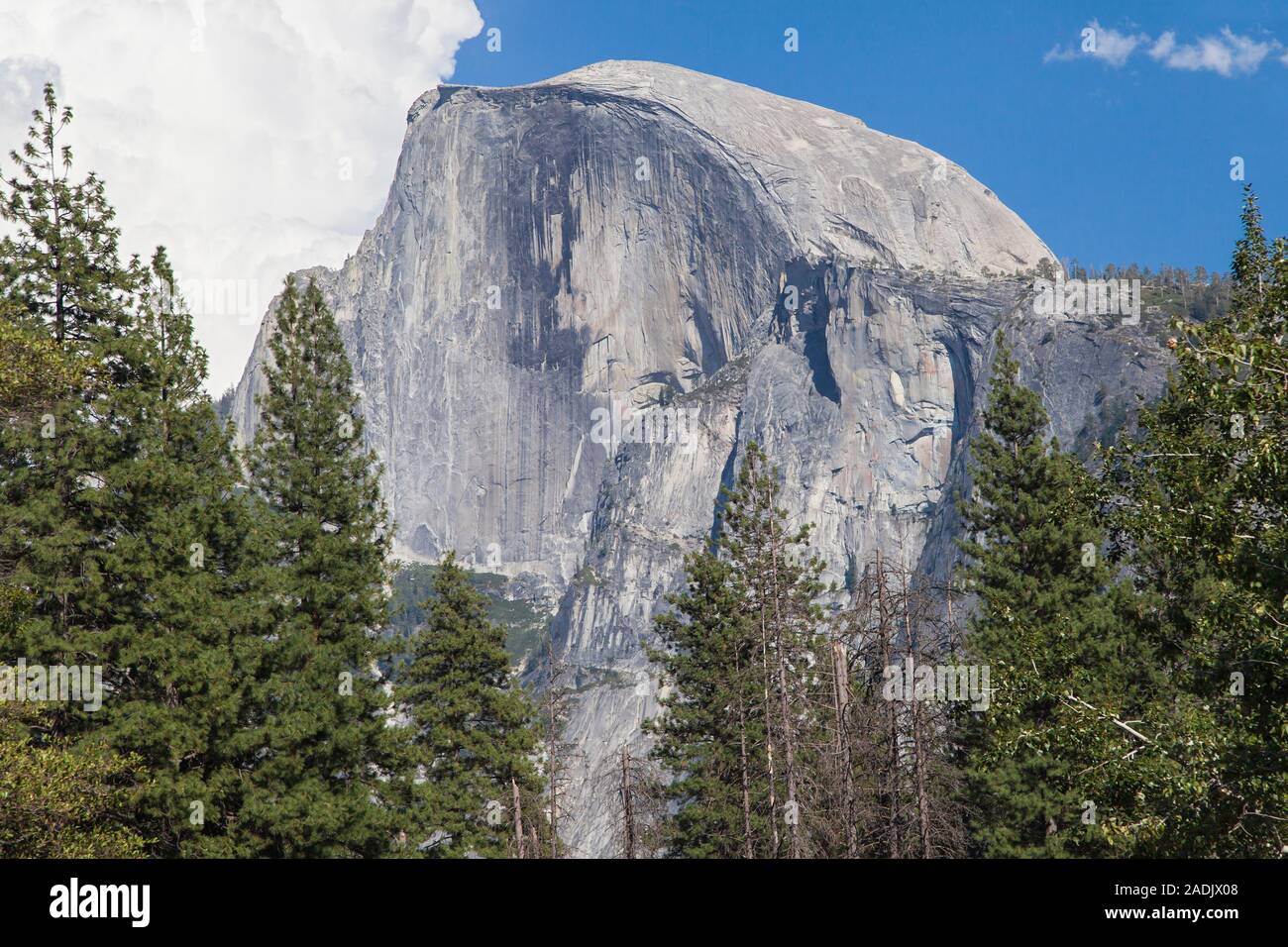 Nahaufnahme der vertikale Teilfläche des Half Dome von der Sentinel Bridge, Yosemite National Park, Kalifornien, USA. Stockfoto
