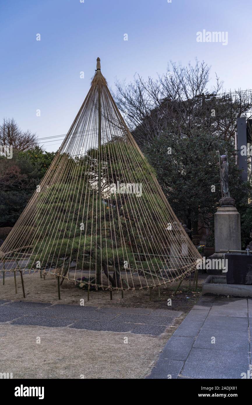 Statue von Jizo statue Symbol kindlicher Frömmigkeit zu schützen Kinder und eine Japanische Kiefer durch einen Winter Regenschirm in den Tennoji Tempel von Yanaka ce geschützt Stockfoto