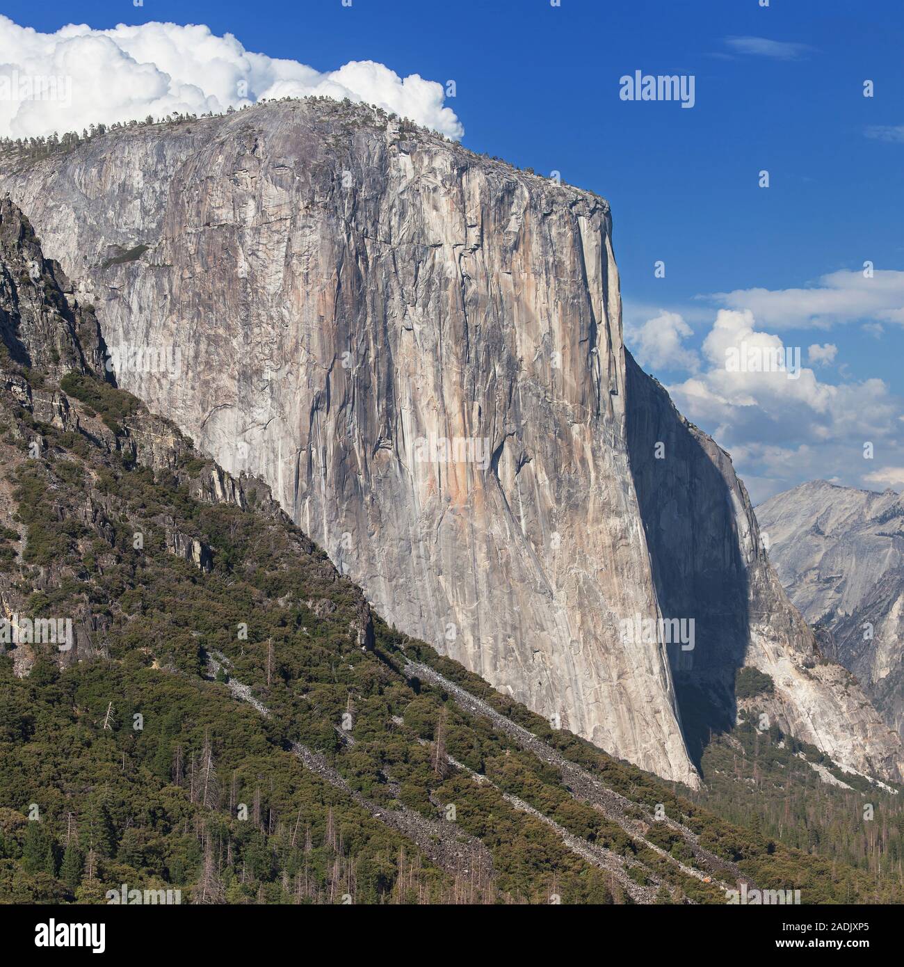 El Capitan vom Tunnel Blick von Tunnel, Yosemite National Park, Kalifornien, USA. Stockfoto