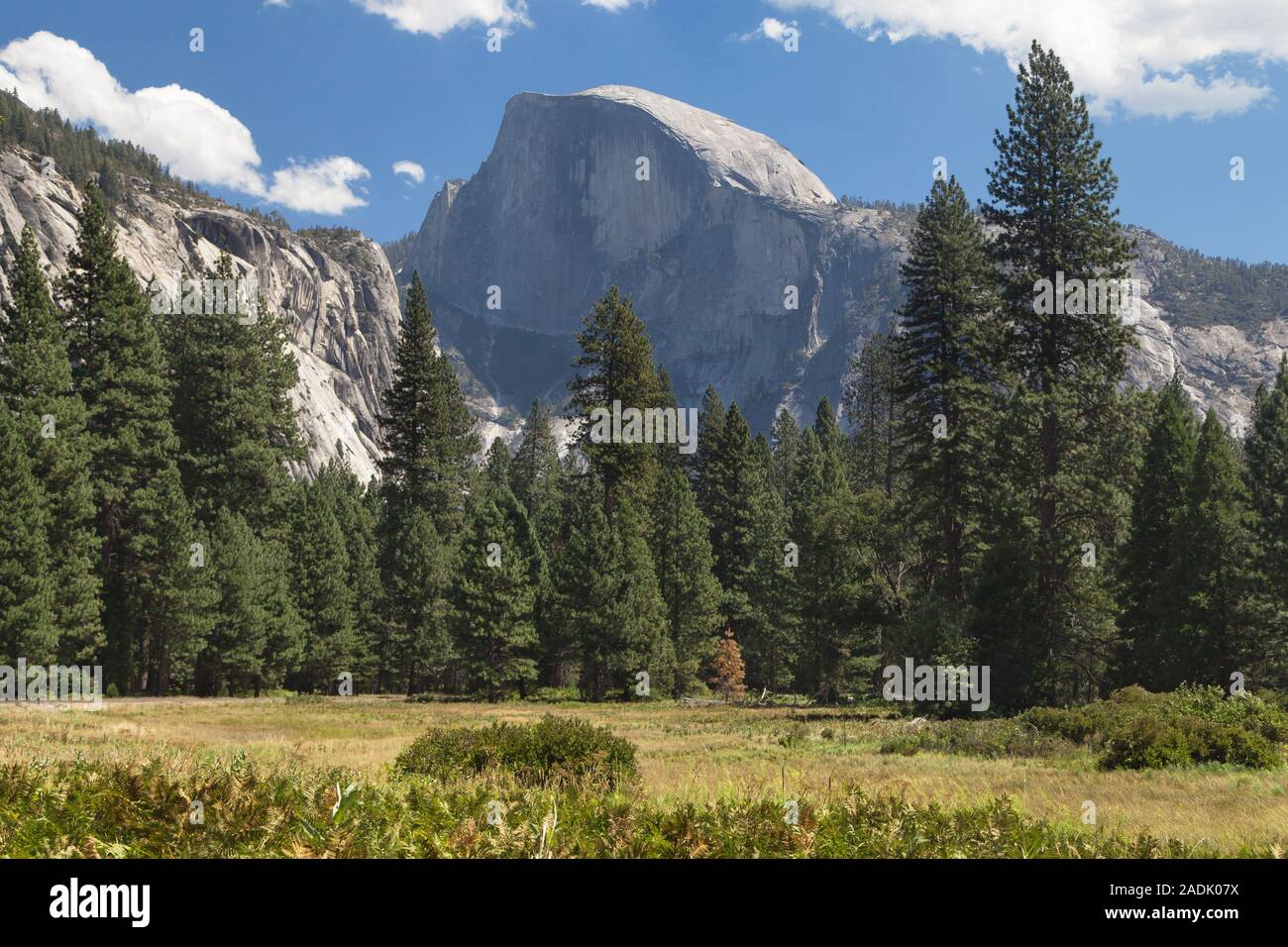 Half Dome von der Talsohle gesehen, Yosemite National Park, Kalifornien, USA. Stockfoto