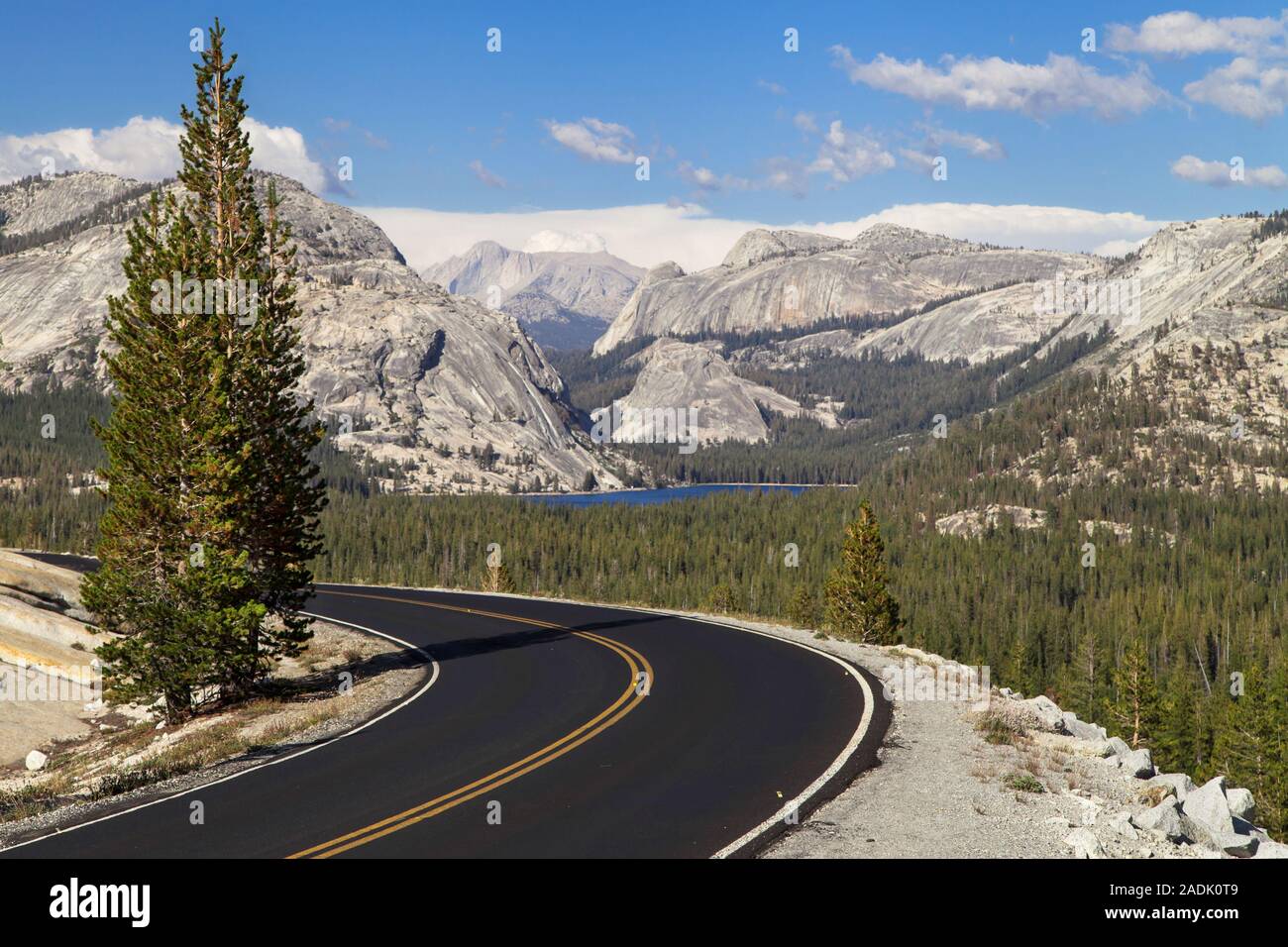 Tioga Pass Road durch Olmsted Point, Yosemite National Park, Kalifornien, USA. Stockfoto