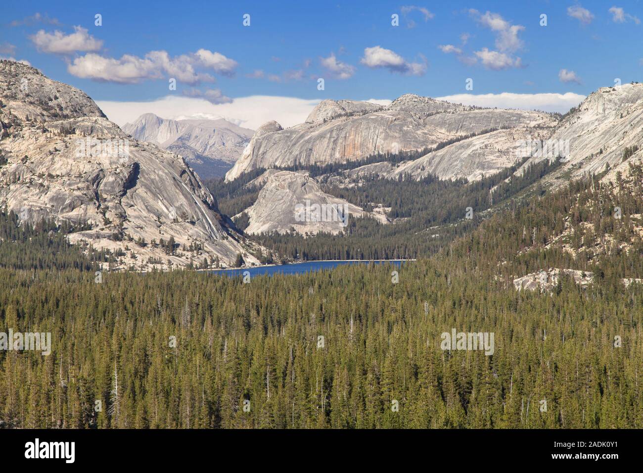 Lake Tenaya aus Olmsted Point, Yosemite National Park, Kalifornien, USA. Stockfoto