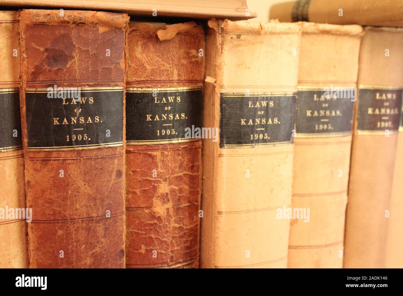 Gesetz-Bibliothek Stockfoto