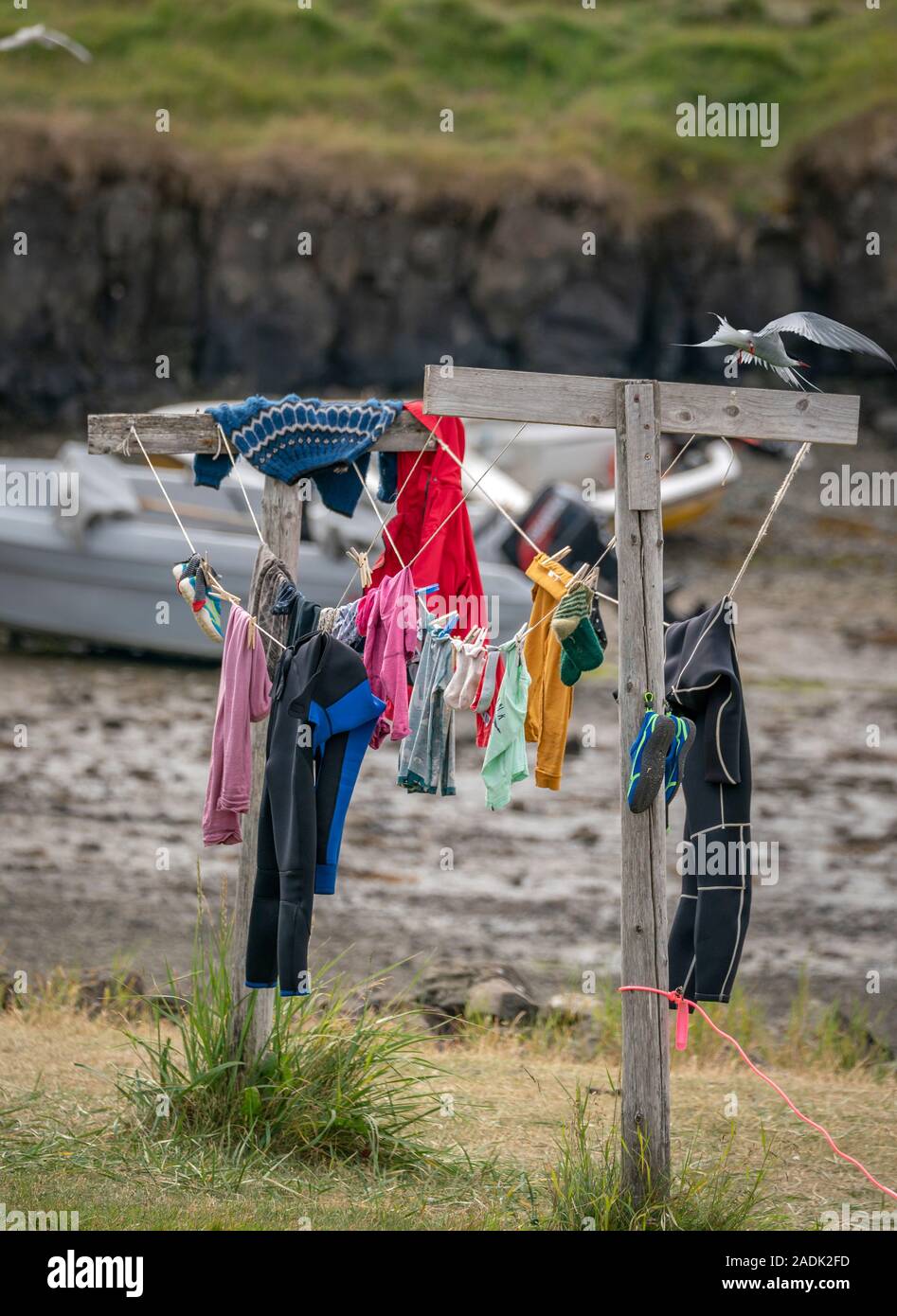 Kleider trocknen, Insel Flatey in Breidafjördur, Westfjorde, Island Stockfoto