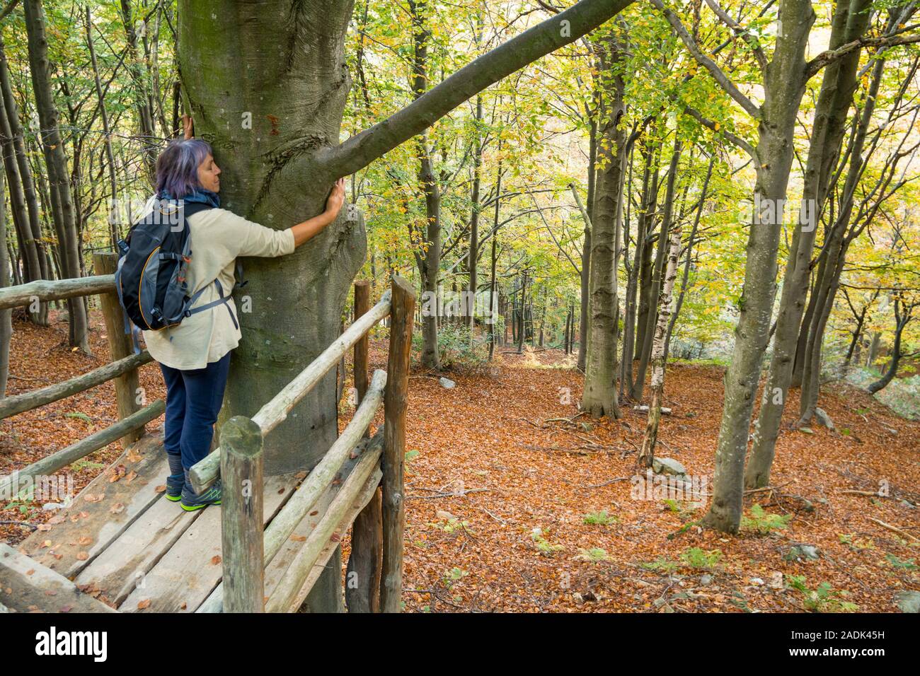 Wald baden: reife Frau umarmt einen Baum Stockfoto