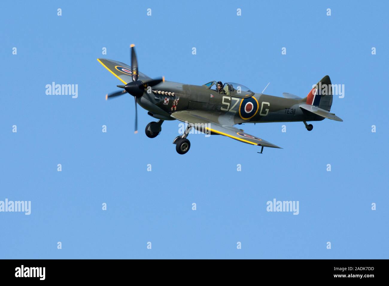 Supermarine Spitfire LF XVIe TE311 codierten SZ-G persönliche polnische Gruppe Kapitän Aleksander Gabszewicz's Mk XVI, TD 240, 131 (Polnisch) Flügel, RAF zu vertreten Stockfoto