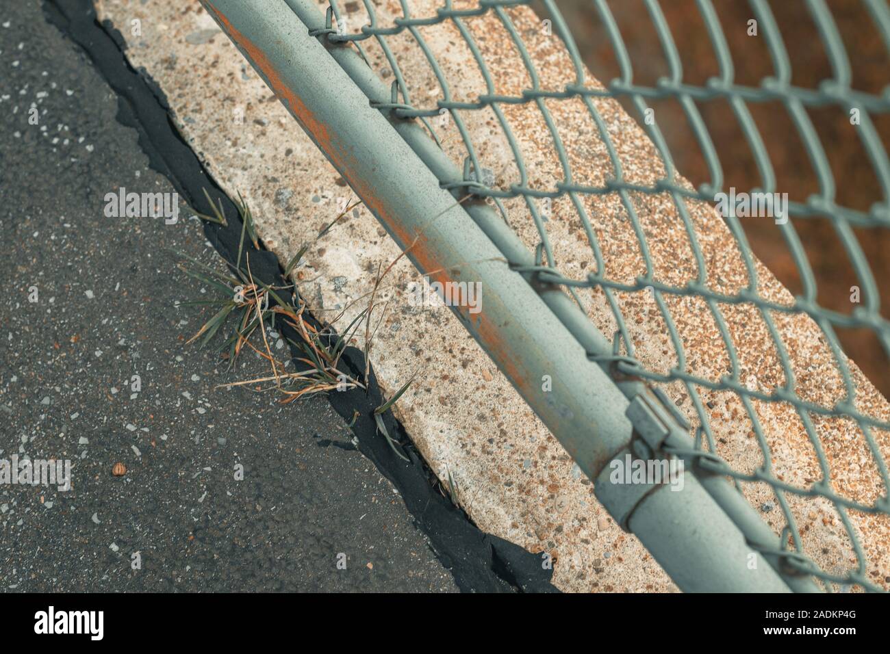 Gräser wachsen durch urban Asphalt Stockfoto