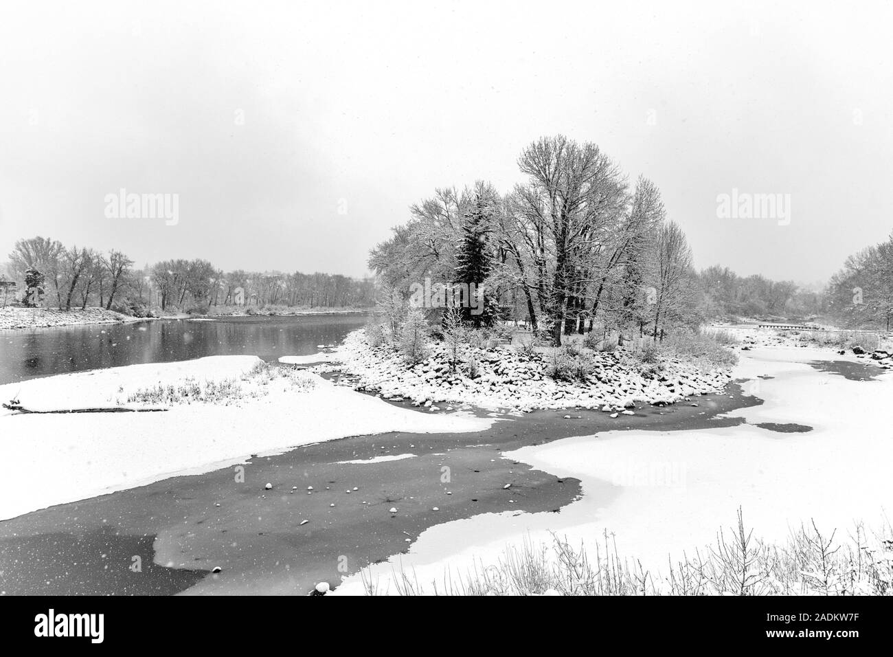 Winter entlang des Bow River und Prince's Island Calgary, Alberta Kanada Stockfoto