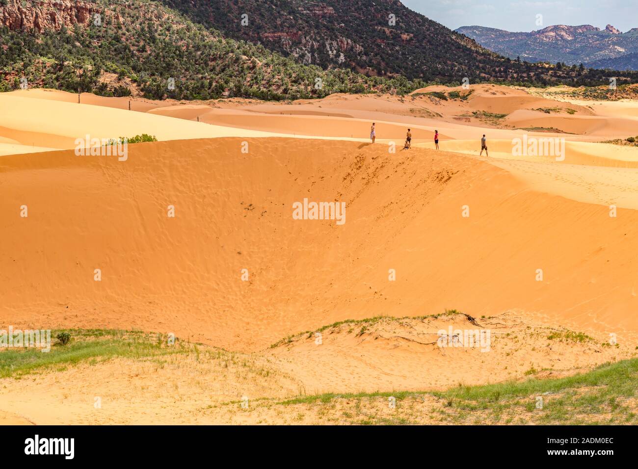 Familien und Kinder spielen in den Dünen des Coral Pink Sand Dunes State Park in der Nähe von Kanab, Utah Stockfoto