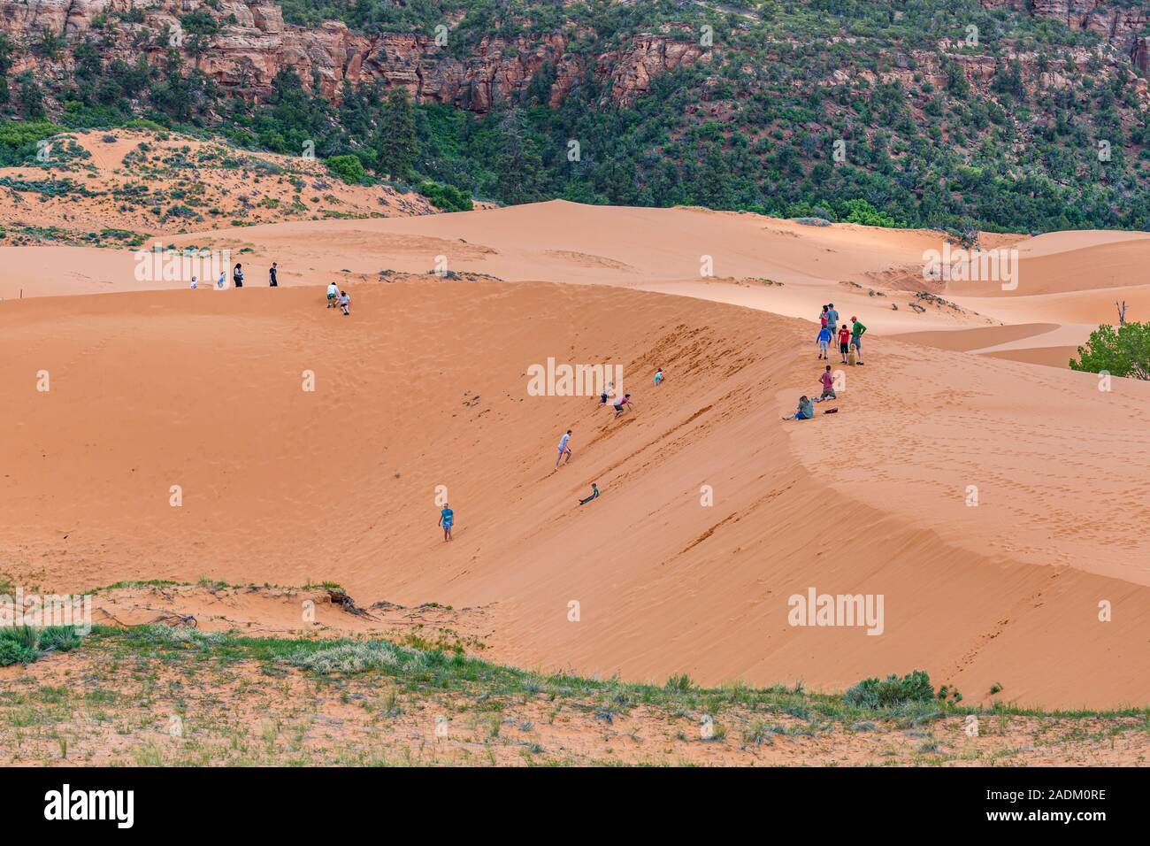 Familien und Kinder spielen in den Dünen des Coral Pink Sand Dunes State Park in der Nähe von Kanab, Utah Stockfoto