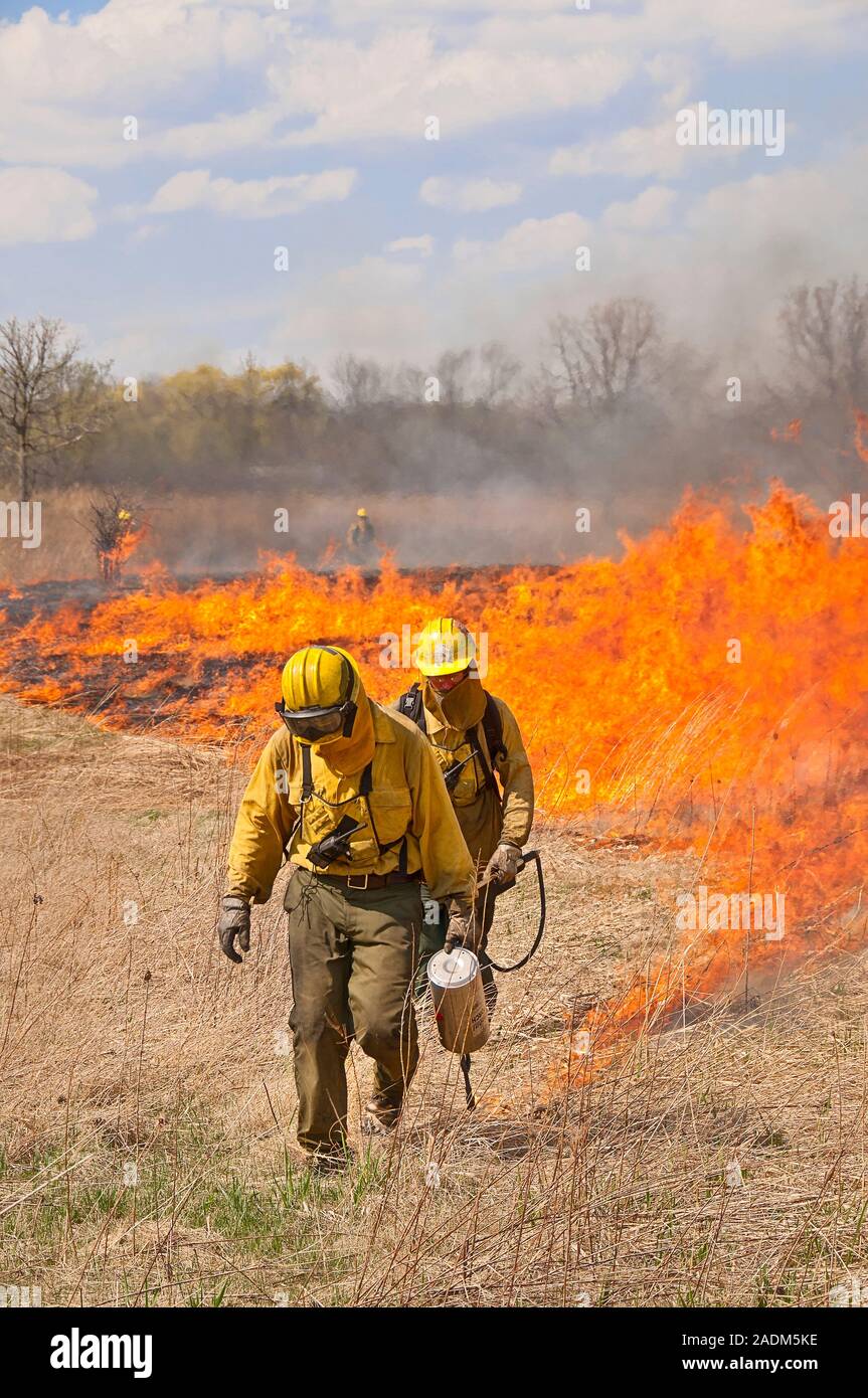 Prairie Fire: Zwei Arbeiter auf einem Feuer Crew mit führen Arbeitnehmer mit einem Tropfen Fackel der Prairie in Flammen auf als Teil einer vorgeschriebenen Feuer entzünden (RX). Stockfoto
