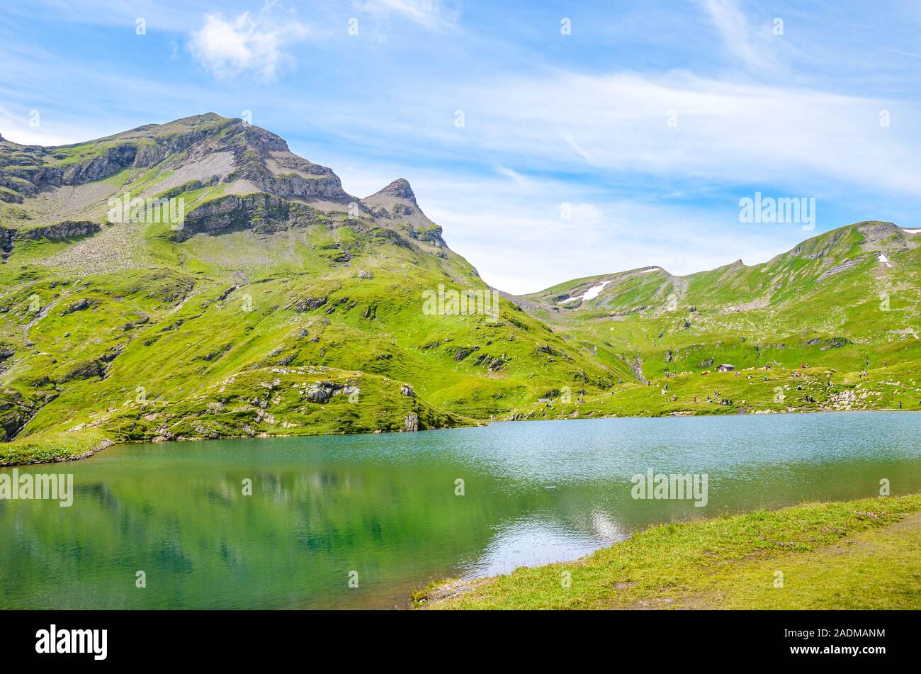 Schöne Bachalpsee See in den Schweizer Alpen im Sommer. Alpine See und Landschaft. Beliebte wandern Ziel auf dem Weg von Grindelwald. Touristische Attraktion in der Schweiz. Stockfoto