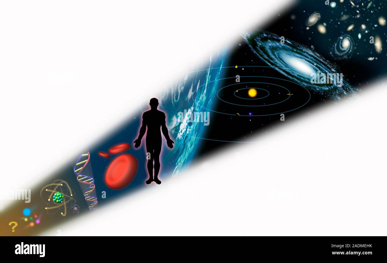 Maßstab des Universums. Abbildung: Darstellung der Skala des Universums. Von der unteren linken sind die kleinsten Objekte: Die fundamentalen Teilchen, Atome, m Stockfoto