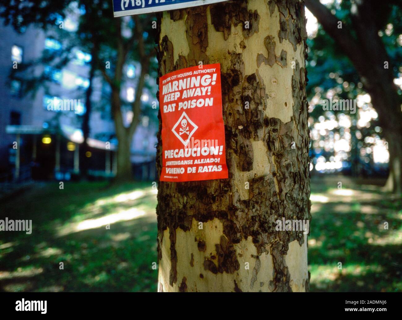 Rattengift unterzeichnen. Hinweis Warnung über Rattengift in der Nähe an einem Baum in Harlem, New York City, USA. Stockfoto