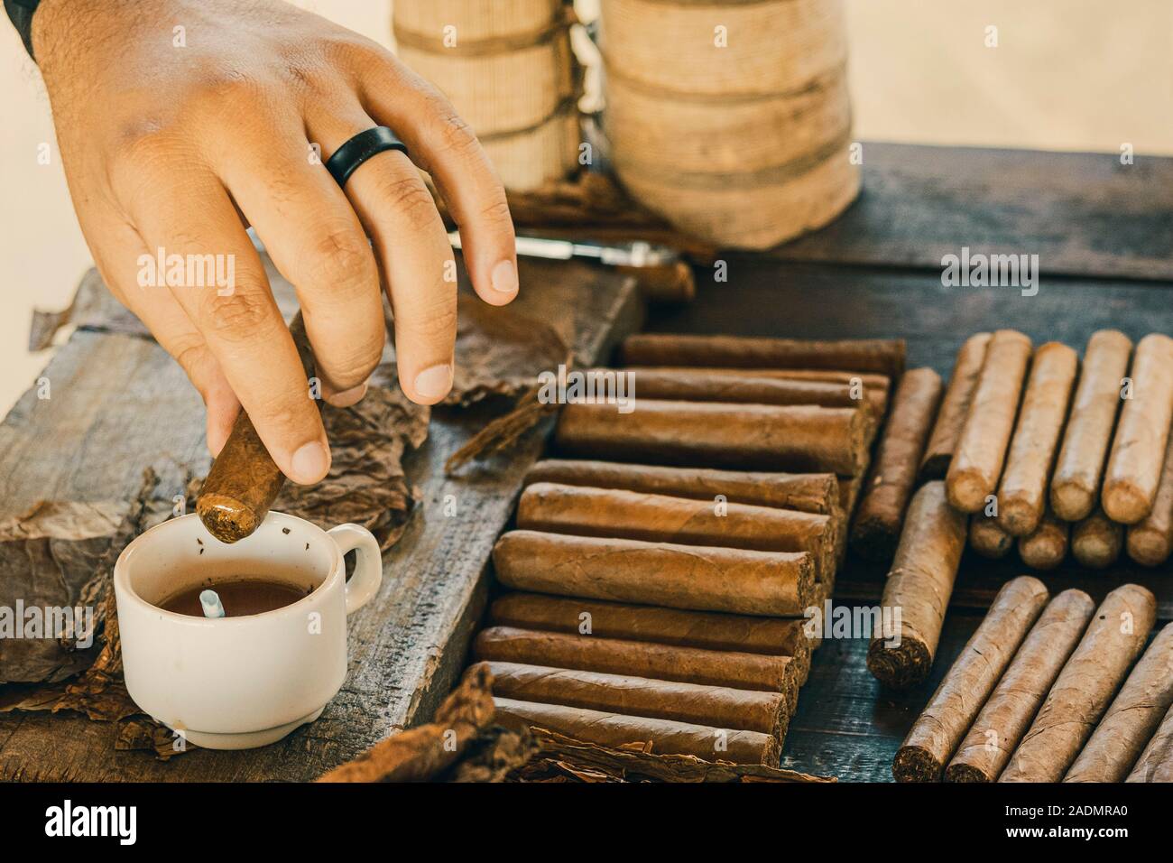 Tabak Hersteller zeigt die Vorbereitung der kubanischen Zigarre und taucht es in ein Honig-Cup. Stockfoto
