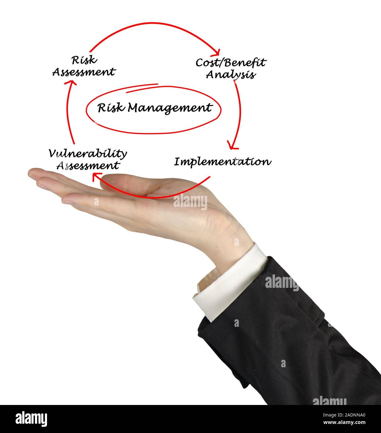 Diagramm des Risikomanagements Stockfoto