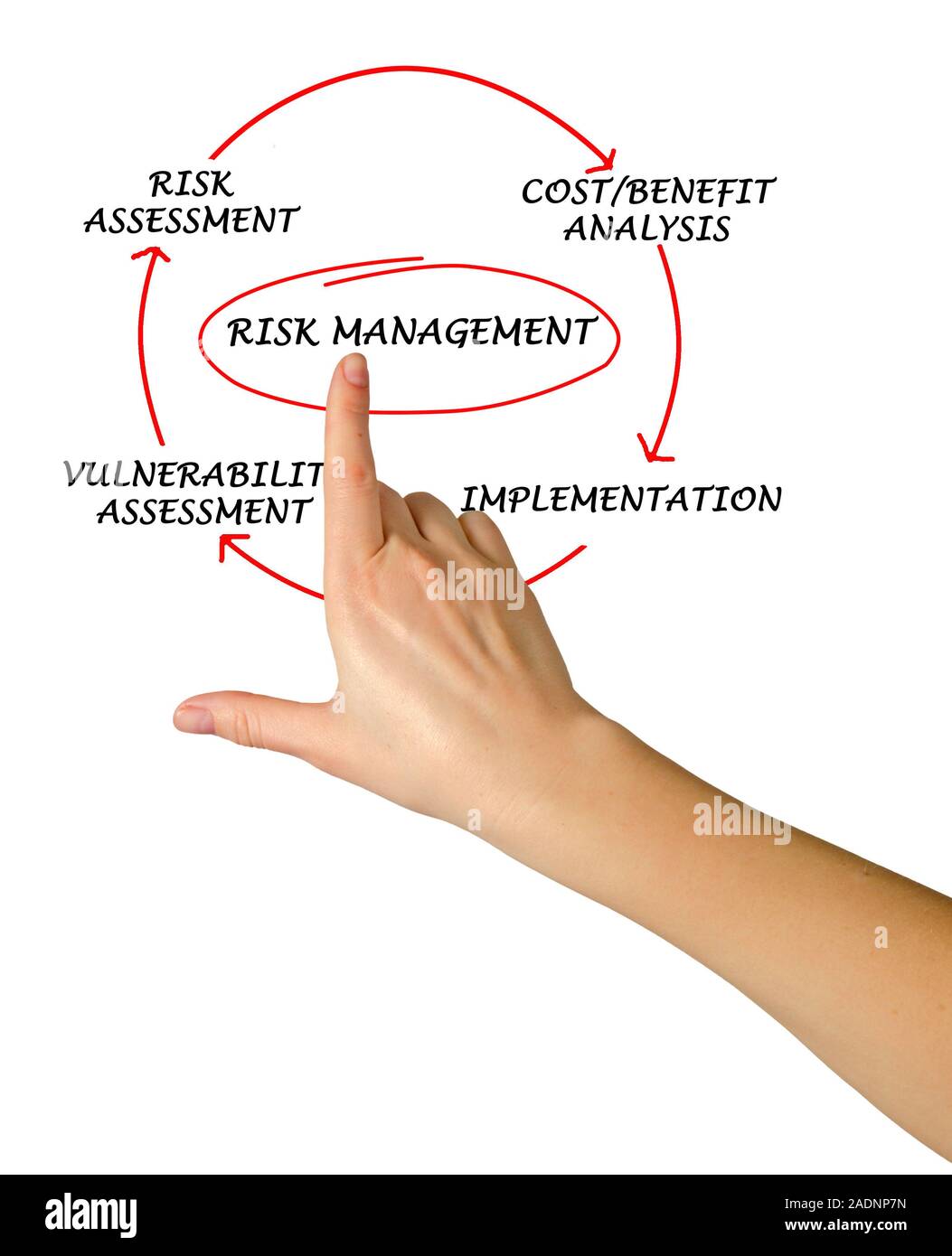 Diagramm des Risikomanagements Stockfoto