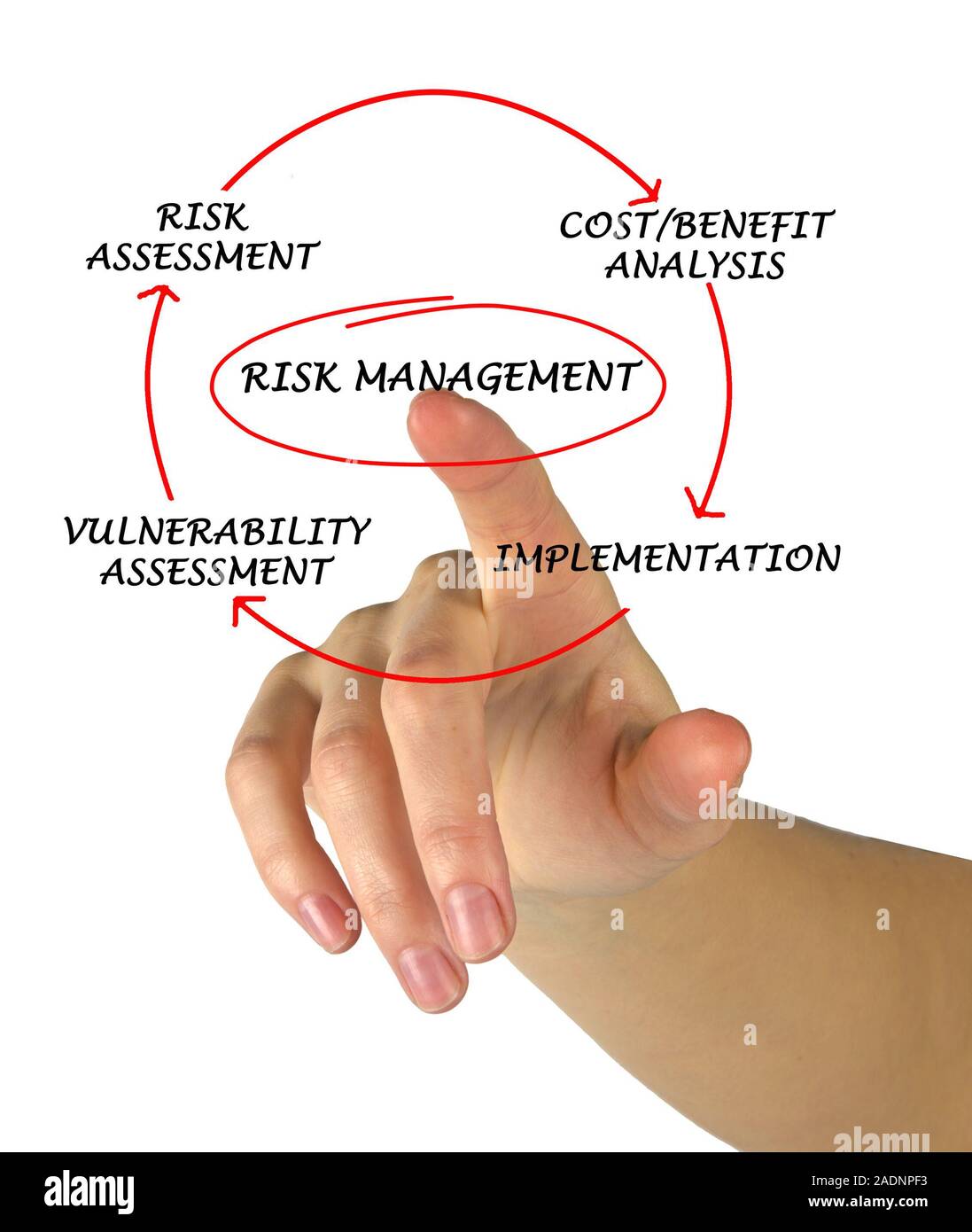 Diagramm des Risikomanagements Stockfoto