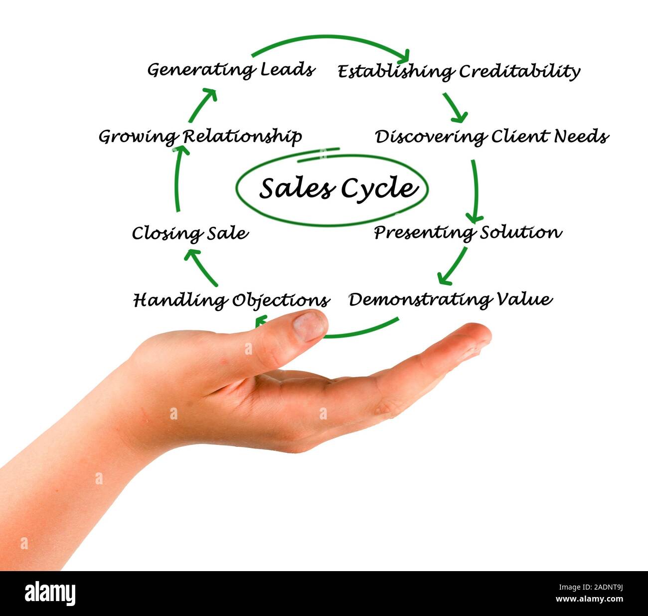 Diagramm der Vertriebszyklus Stockfoto