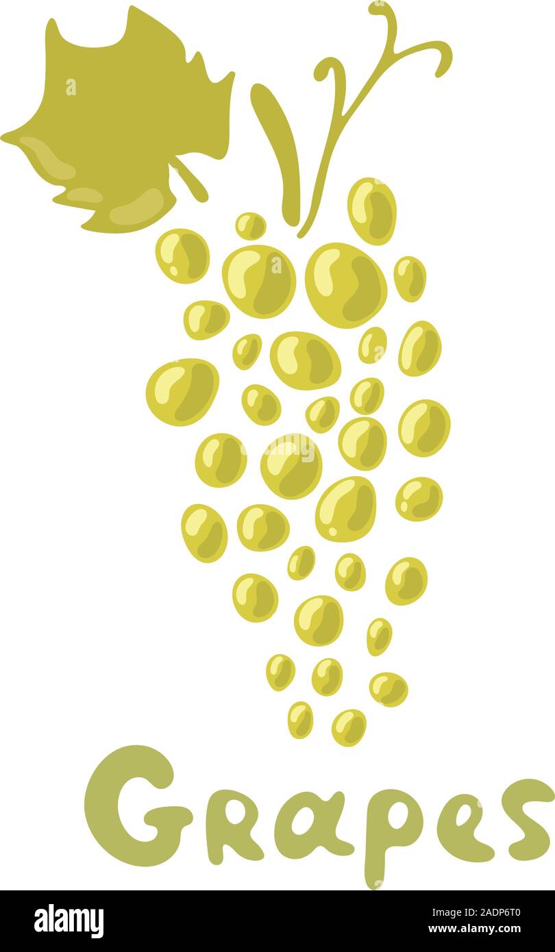 Grüne Trauben Illustration - am Stengel und am Blatt auf weißem Hintergrund. Grape cluster Vector Illustration in flacher Ausführung. Stock Vektor