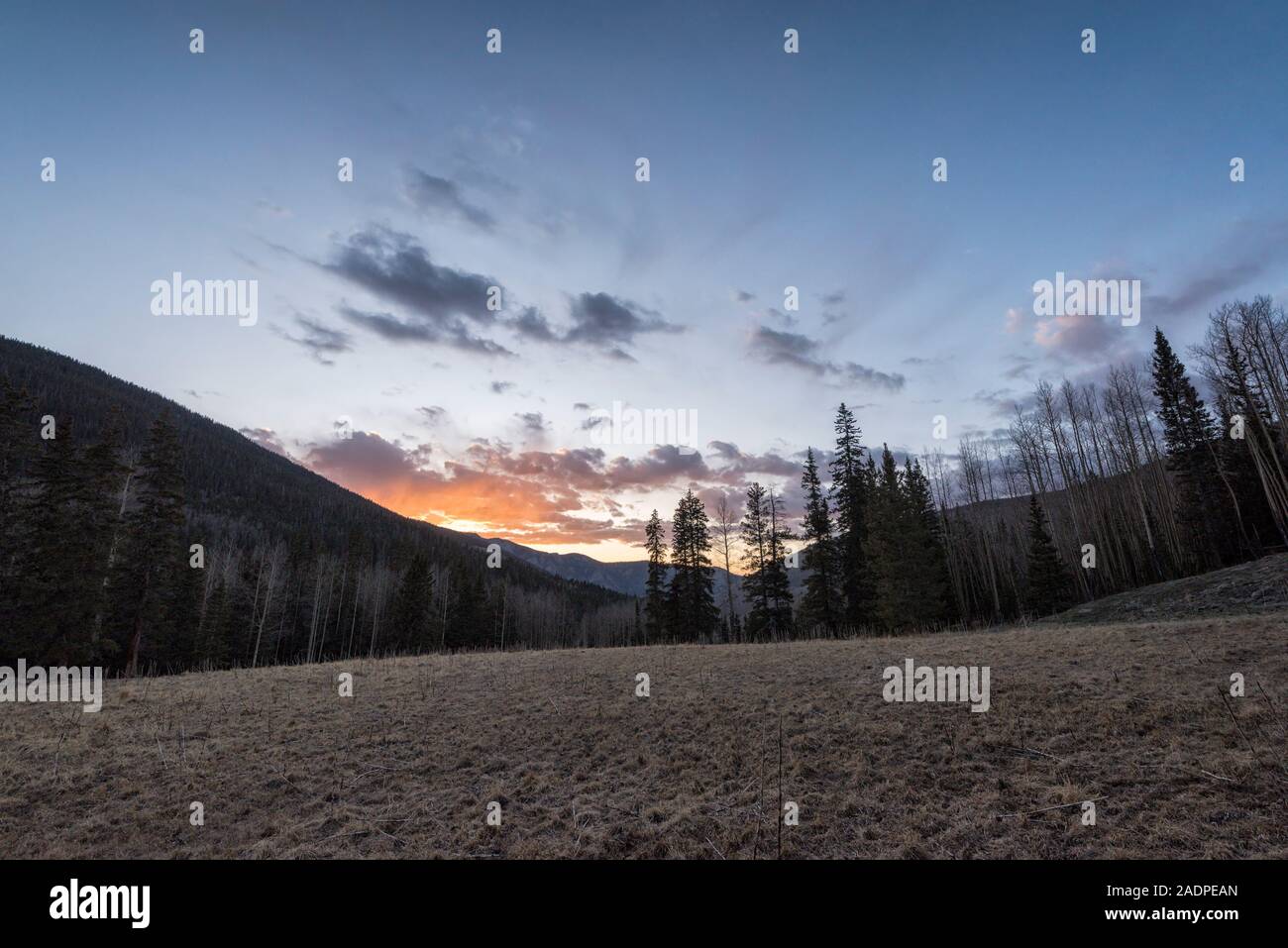 Abend Landschaft im Pecos Wilderness Stockfoto