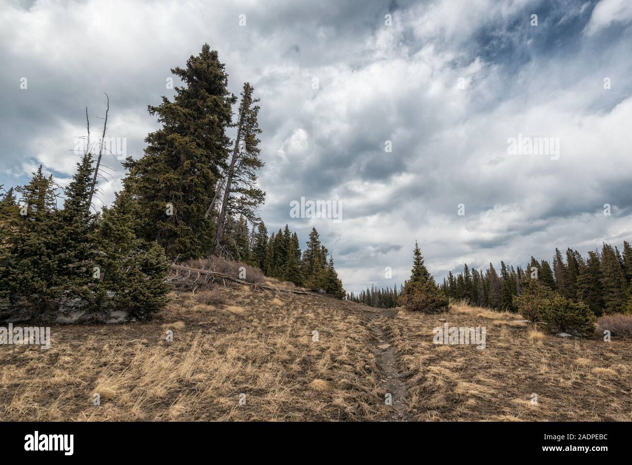 Landschaft im Pecos Wilderness Stockfoto