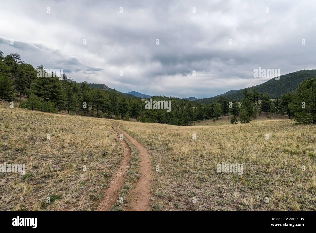 Trail in der Lost Creek Wilderness Stockfoto