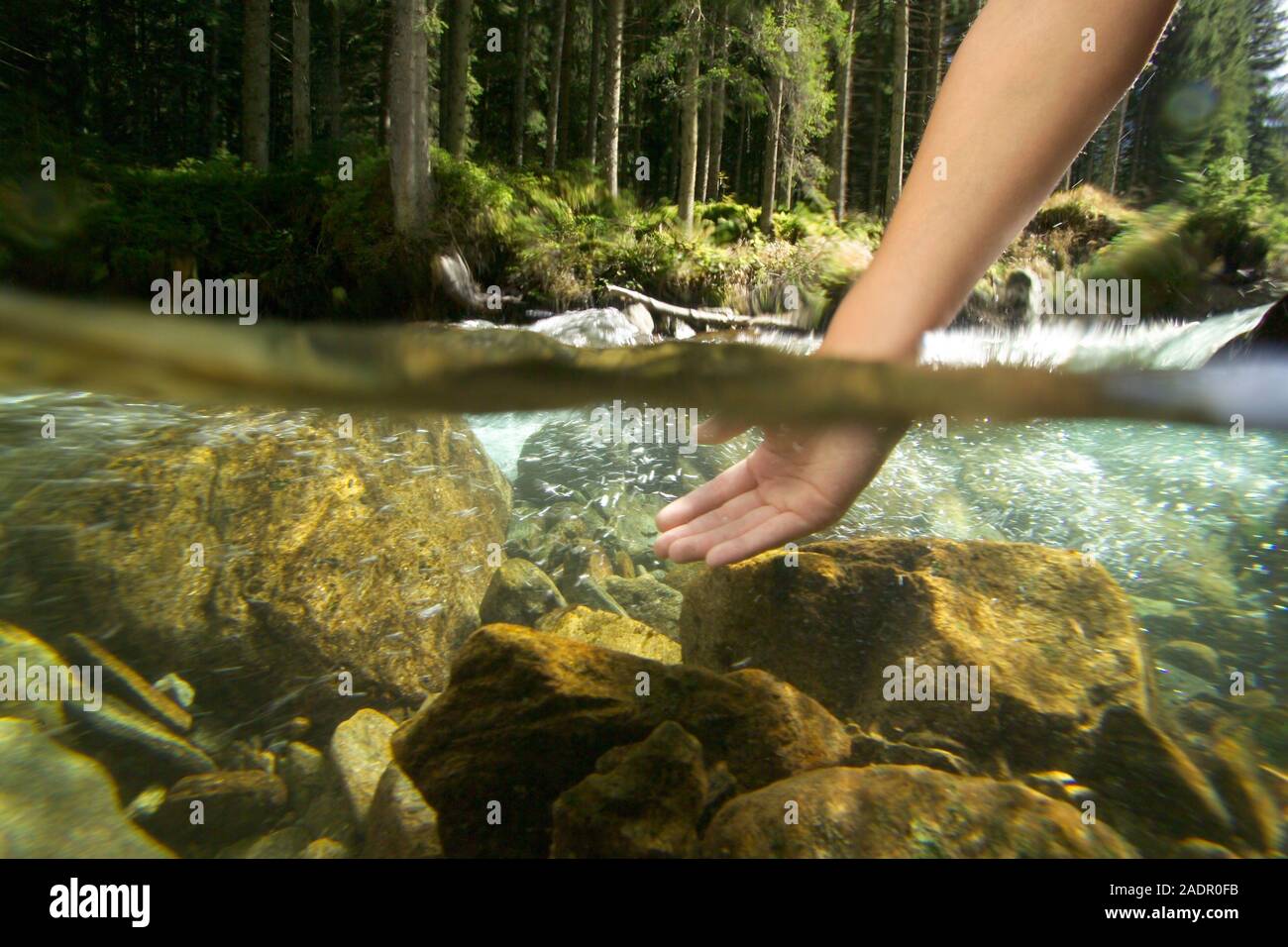 Mädchen im Wasser, Kneippkur - Mädchen im Fluss, Kneipp Therapie Stockfoto