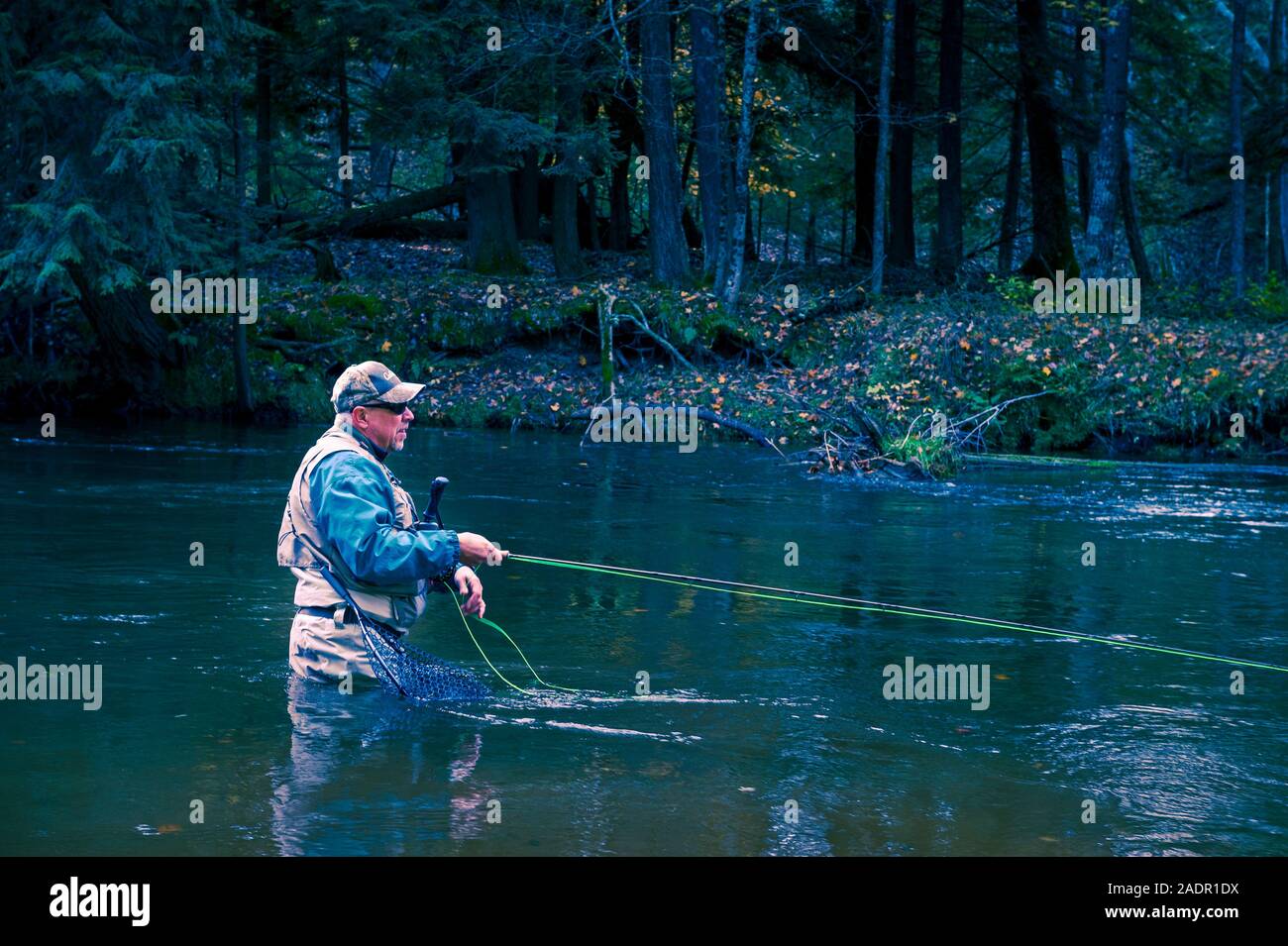 Fischer Casting für Steelhead Forellen in der Pere Marquette River in der Nähe von Walhalla, Michigan, USA Fliegen Stockfoto
