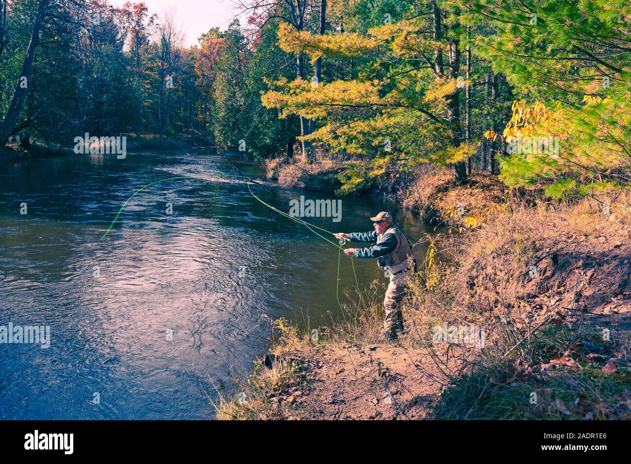 Fischer Casting für Steelhead Forellen in der Pere Marquette River in der Nähe von Walhalla, Michigan, USA Fliegen Stockfoto