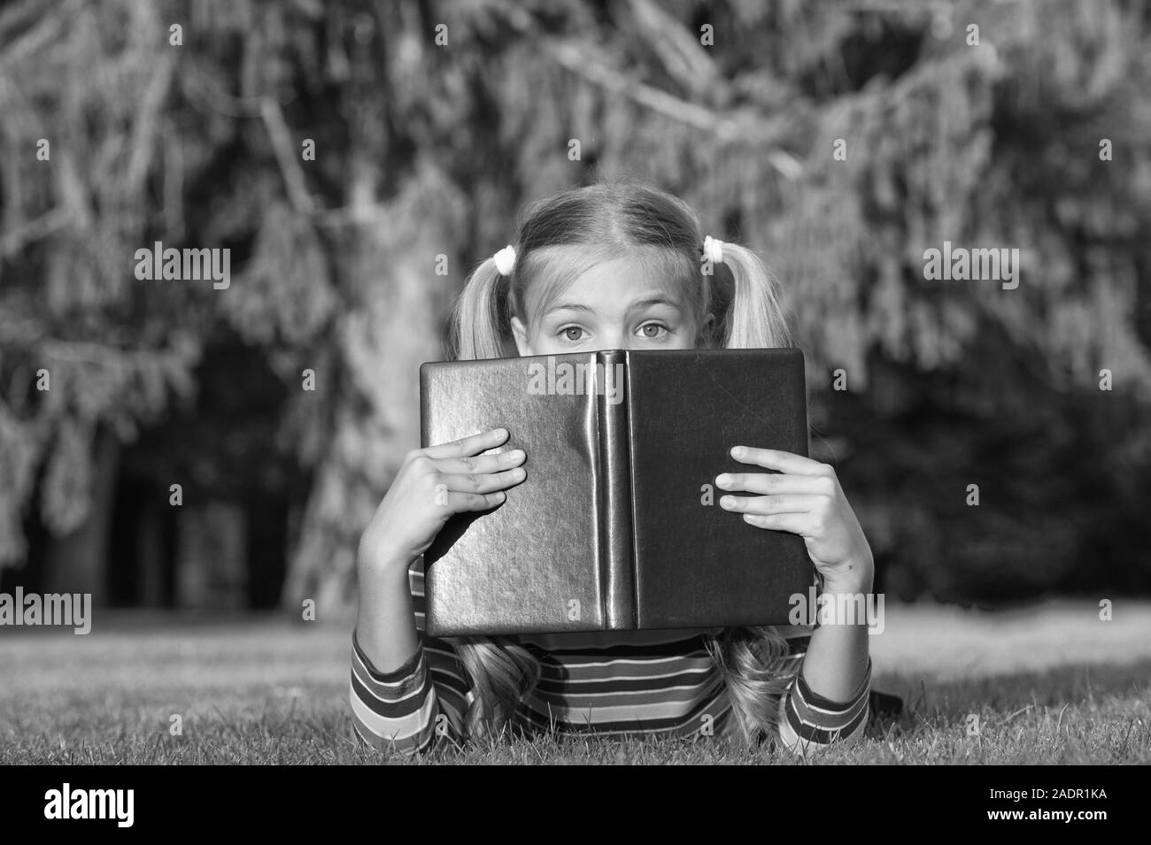 Urteilen Sie Nicht Buch Durch Seine Abdeckung Adorable Kleinen Kind Abdeckung Zeigen Mit Buch Susse Kleine Madchen Buch Lesen Auf Grunem Gras Tolles Auge Fur Gutes Buch Stockfotografie Alamy
