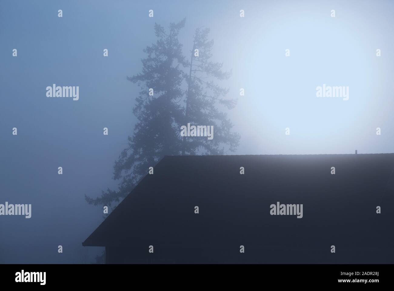 Silhouette einer Haus und Baum im Nebel mit Sonne im Hintergrund. Stockfoto