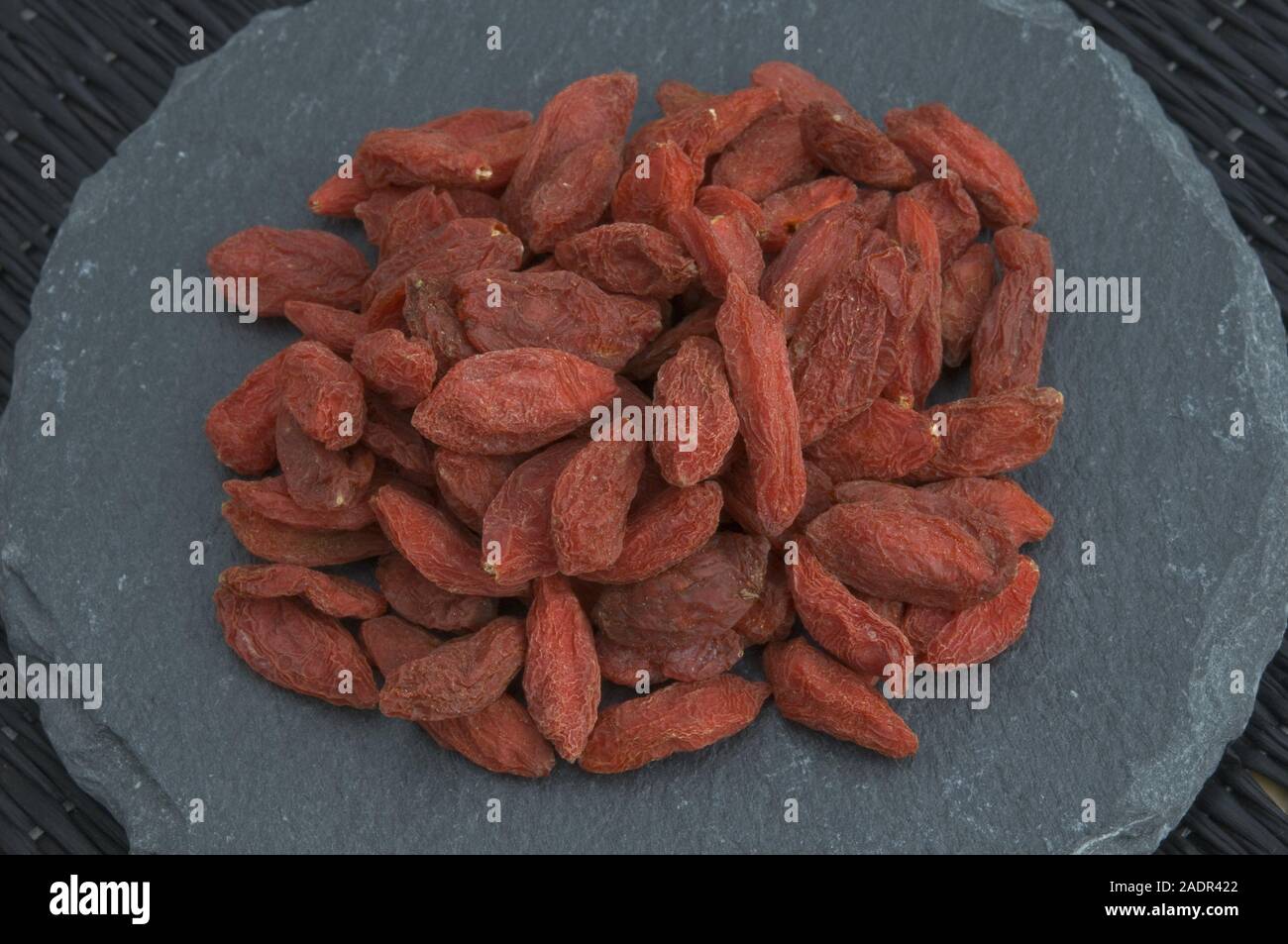 Gogybeeren - Chinesische Boxthorn Obst Stockfoto