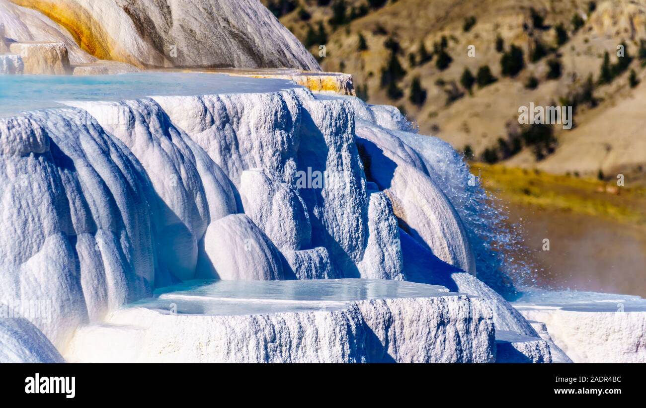 Heißes Wasser über den Rand des Kanarischen Frühling in den Mammoth Hot Springs, Yellowstone National Park, Wyoming, USA Stockfoto