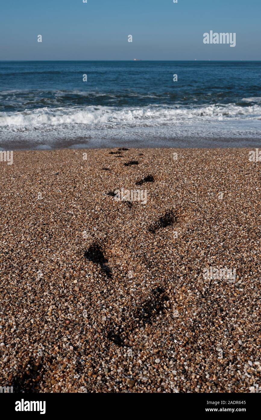 Footprints gehen vom Strand auf das Meer an einem sonnigen Tag Stockfoto