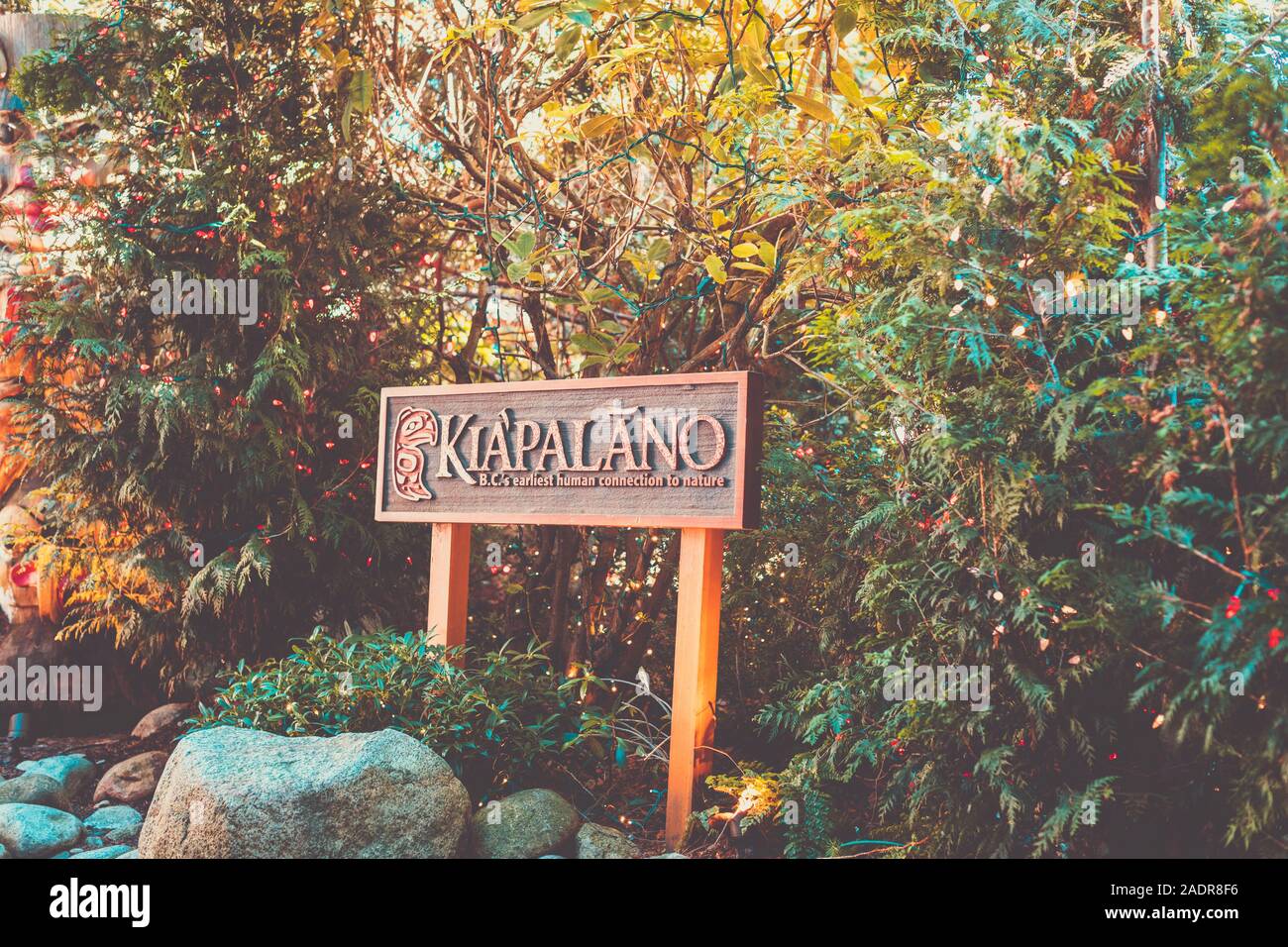 Vancouver, British Columbia - 28.November, 2019: Blick von der Capilano Suspension Bridge Park in North Vancouver in der Wintersaison Stockfoto