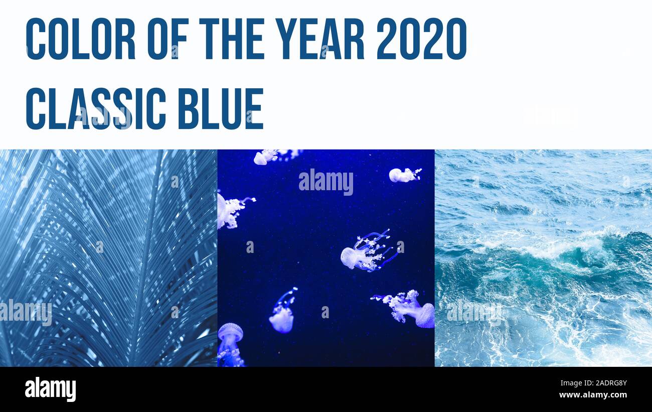 Eine Collage aus drei Fotografien getönt in der Farbe des Jahres 2020 Classic blau. Stockfoto