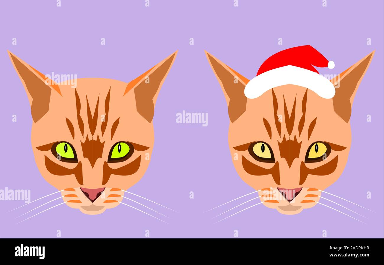Zwei Kopf und Gesicht der Farbe orange tabby Katze trägt einen Santa Claus Hut auf lila Hintergrund, Karikatur und Grafik über Weihnachten und neues Jahr' Stock Vektor