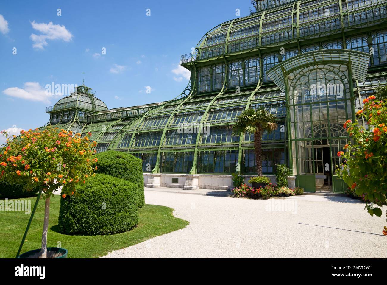 Gewächshaus im Schloss Schönbrunn in Wien, Österreich Stockfoto