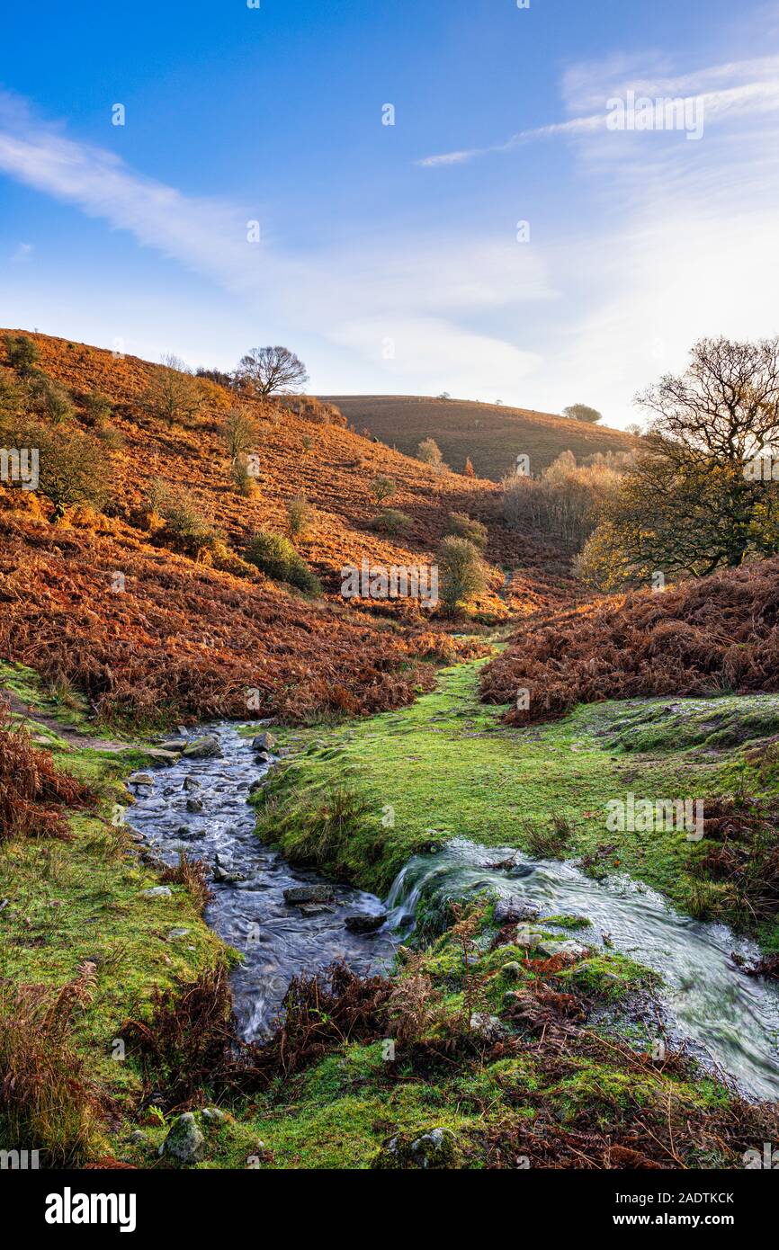 Rocky Stream auf der Zuckerhut in die Schwarzen Berge, Wales. Stockfoto