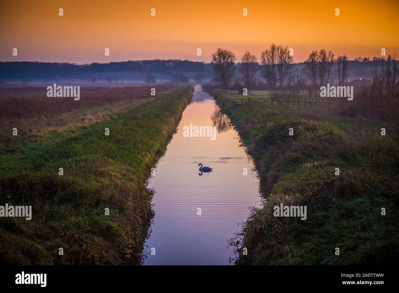 Somerset Levels, Schinken Wand. Dez 4 2019 Stockfoto