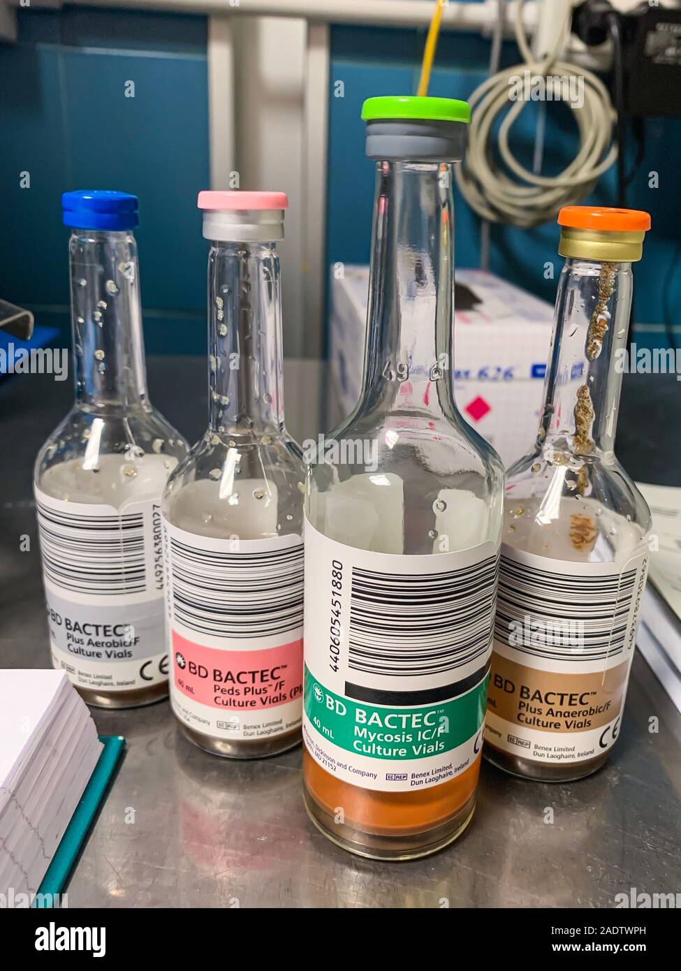 Parma, Italien - 5. Dezember 2019: Verschiedene Fläschchen für bakterielle Kultur und Pilz durchstechflaschen von bd bactec in einem mikrobiologischen Labor Stockfoto