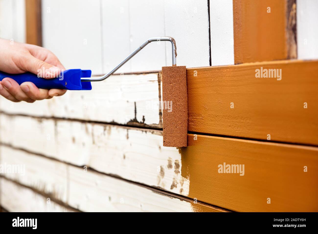 Mann lackierte Holzplatten mit einem Bogen Walze und Schaumstoffrolle. Braun Farbe lackiert ist oder auf eine Holzwand gerollt Stockfoto