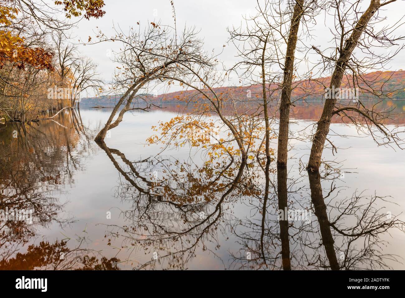 St. Croix River, St Croix SP, Herbst, Minnesota, USA, von Dominique Braud/Dembinsky Foto Assoc Stockfoto